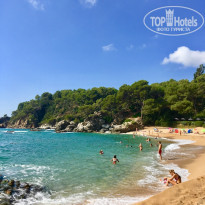 фото из отзыва ID 1855502