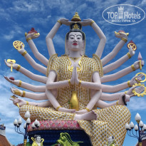 фото из отзыва ID 1855516