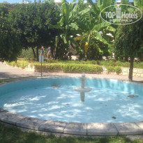 фото из отзыва ID 1855529