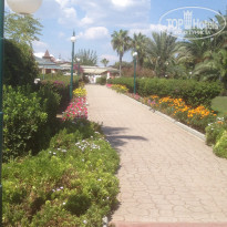 фото из отзыва ID 1855529