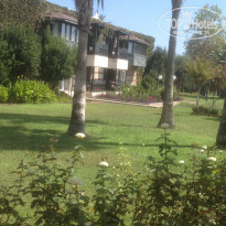 фото из отзыва ID 1855529