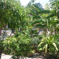 фото из отзыва ID 1855469