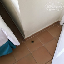 фото из отзыва ID 1855451