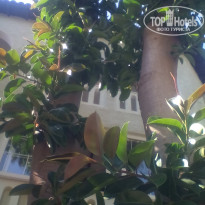 фото из отзыва ID 1855600