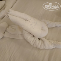 фото из отзыва ID 1855654