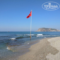 фото из отзыва ID 1855712