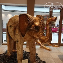 фото из отзыва ID 1854820