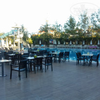 фото из отзыва ID 1856060