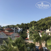 фото из отзыва ID 1856303