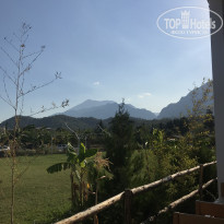 фото из отзыва ID 1856303