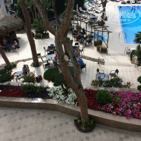 фото из отзыва ID 1856327