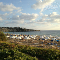 фото из отзыва ID 1856459