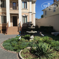 фото из отзыва ID 1856466