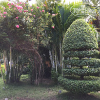 фото из отзыва ID 1856613