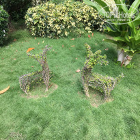 фото из отзыва ID 1856613