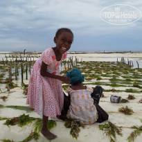 фото из отзыва ID 1856675