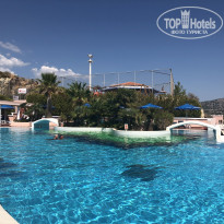 фото из отзыва ID 1856680