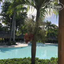 фото из отзыва ID 1856418