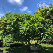 фото из отзыва ID 1856418