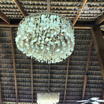 фото из отзыва ID 1856418