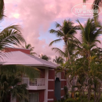 фото из отзыва ID 1856418