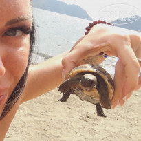 фото из отзыва ID 1856771