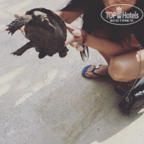 фото из отзыва ID 1856771