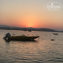 фото из отзыва ID 1856813