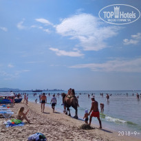 фото из отзыва ID 1855137