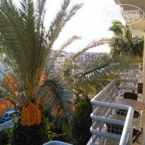 фото из отзыва ID 1856981