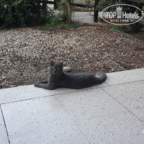 фото из отзыва ID 1857365