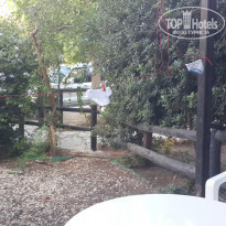 фото из отзыва ID 1857365