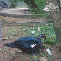 фото из отзыва ID 1857455