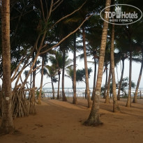 фото из отзыва ID 1857455