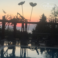 фото из отзыва ID 1857429