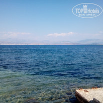 фото из отзыва ID 1857498