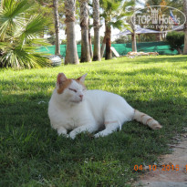 фото из отзыва ID 1857505