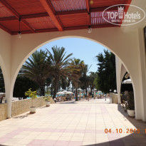 фото из отзыва ID 1857505