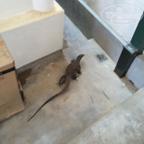 фото из отзыва ID 1857584