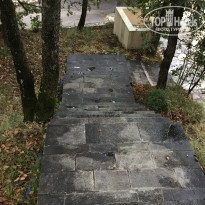 фото из отзыва ID 1857619