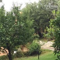 фото из отзыва ID 1857619