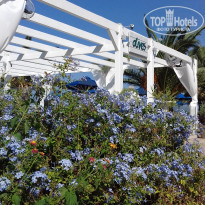 фото из отзыва ID 1857660