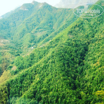 фото из отзыва ID 1857706