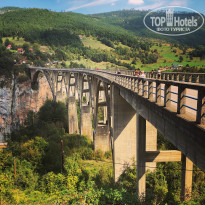 фото из отзыва ID 1857706