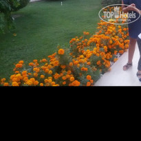 фото из отзыва ID 1857790