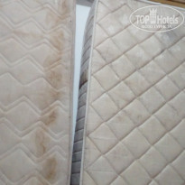 фото из отзыва ID 1857849