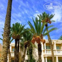 фото из отзыва ID 1857928