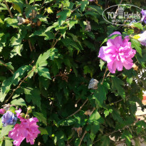 фото из отзыва ID 1853570