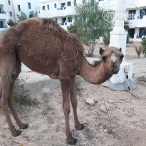 фото из отзыва ID 1857891