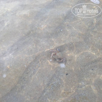 фото из отзыва ID 1858003